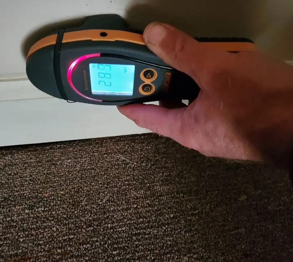 Moisture detection at baseboard during Mold Inspection & Testing in Albany